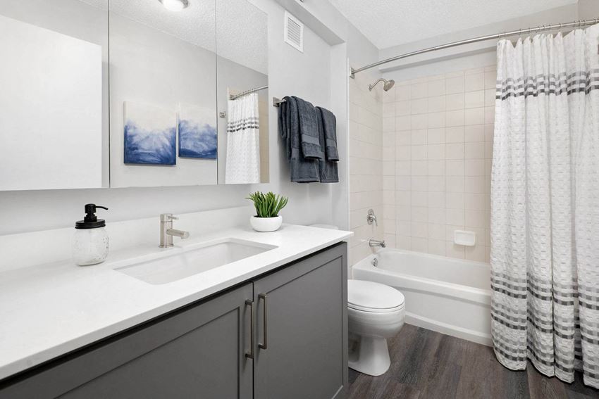 Shoreham And Tides Apartments, 360 East South Water Street, Chicago, IL